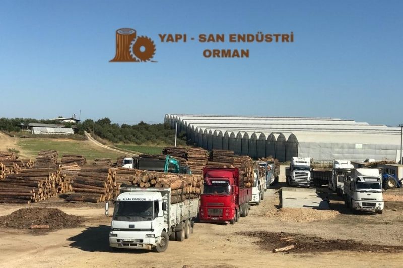 “DOĞANIN GÜCÜ İLE BÜYÜYORUZ”